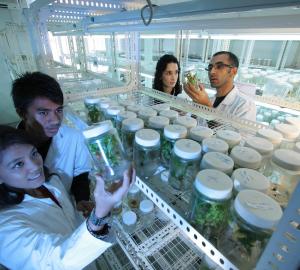 Ciencia Tecnología e Innovación